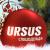 Новогодние поздравления от компании URSU